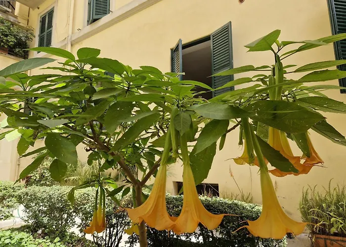 Home Rome Borsieri